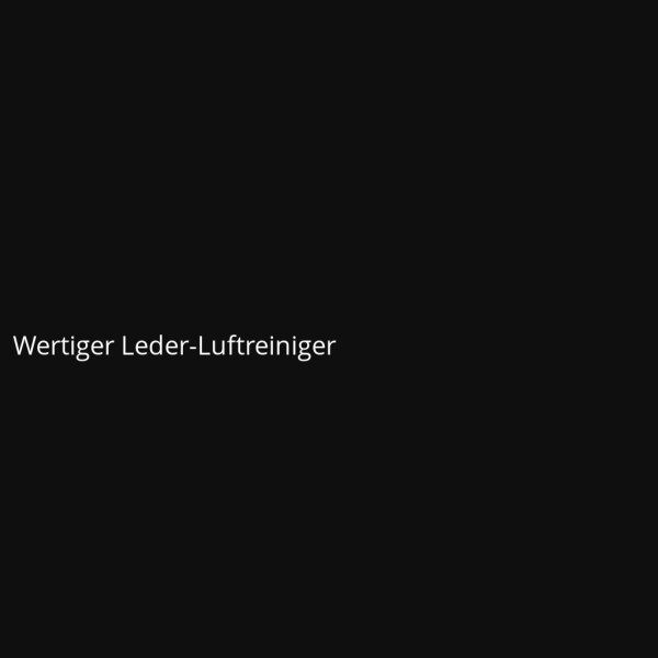 Wertiger Leder-Luftreiniger