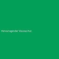 Hervorragender Viscose-Hut