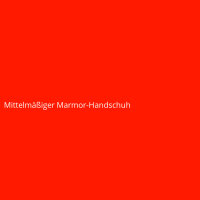 Mittelm&auml;&szlig;iger Marmor-Handschuh