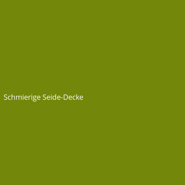Schmierige Seide-Decke