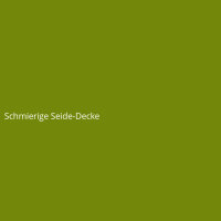 Schmierige Seide-Decke